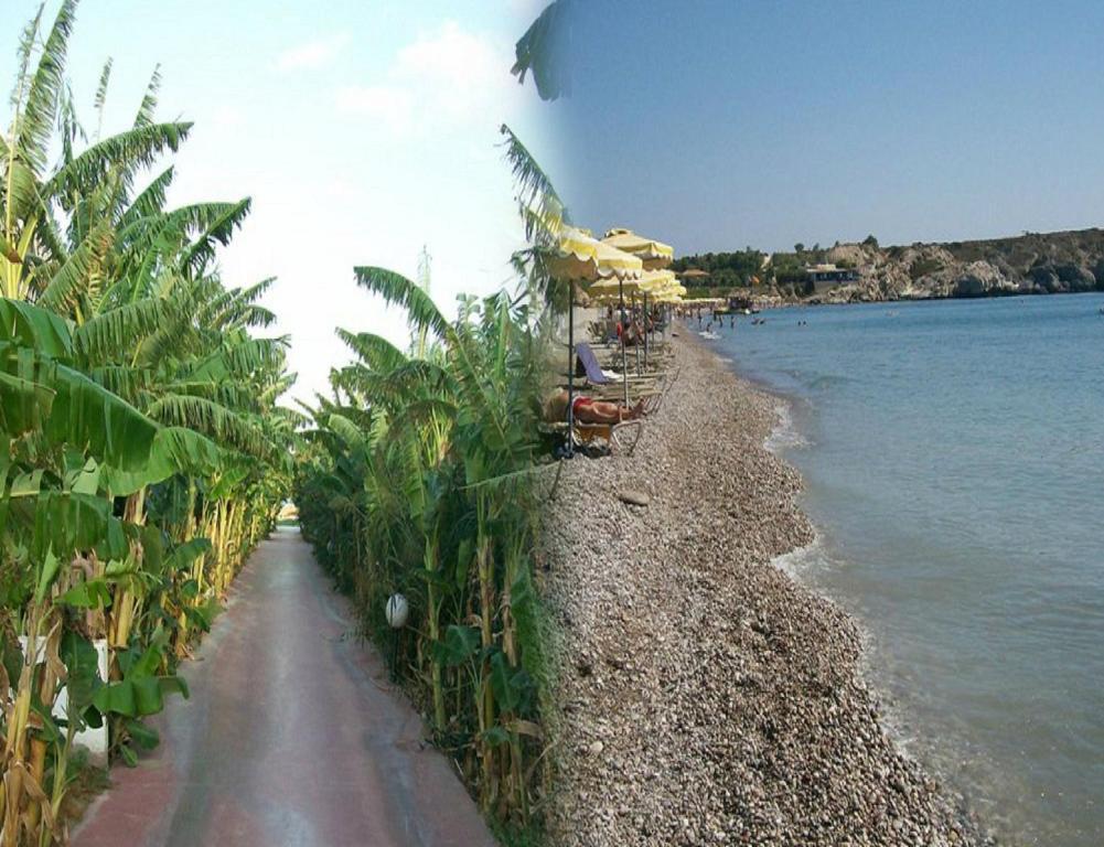 Alfa Hotel Kolymbia Rum bild